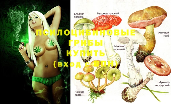 марки lsd Надым