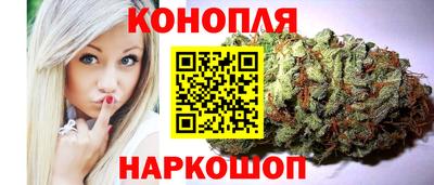 мяу мяу мука Гатчина