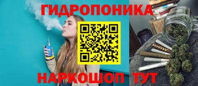 мяу мяу мука Гатчина