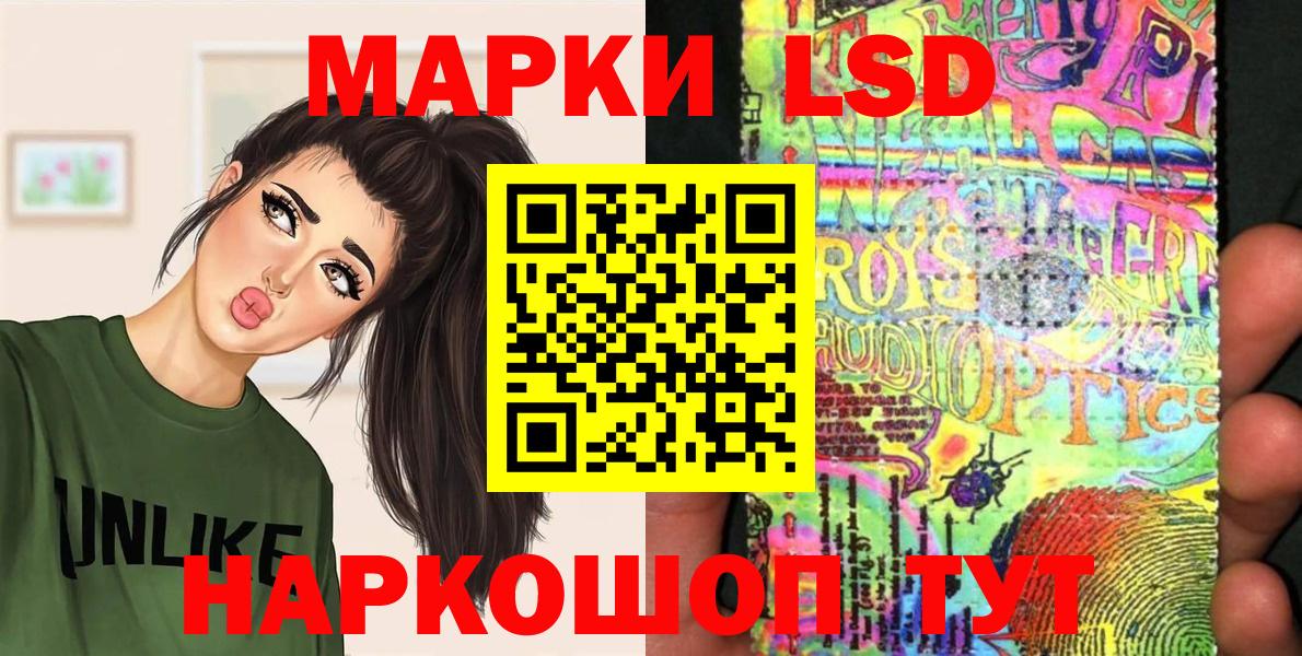 Псилоцибиновые грибы Кольчугино
