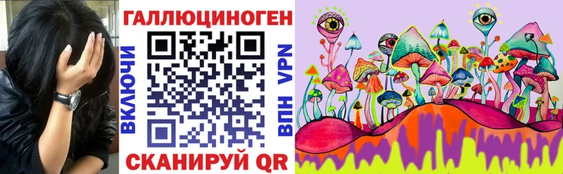 Псилоцибиновые грибы Psilocybine cubensis  ОМГ ОМГ ссылки  Кольчугино 