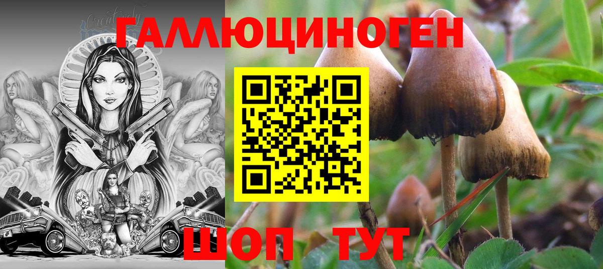Галлюциногенные грибы Psilocybe  Псилоцибиновые грибы ЛСД  Вход с VPN  Кольчугино 